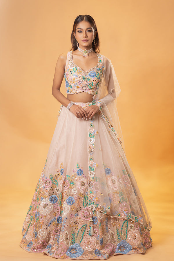 Multi Coloured embroidered Mirror work Lehenga