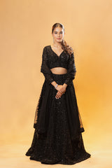 Black Chantilly Net Embroidered Lehenga Set